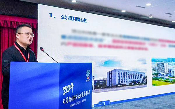 頂立科技參加硅基新材料高峰論壇，分享高純石英制備熱工裝備最新技術(shù)